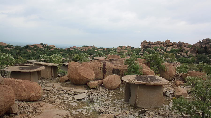 The two locations identified by the tahsildars are near megalithic burial site at Hirebenakal-Yedehalli, and Arisinakere, a proposed sloth bear sanctuary. 