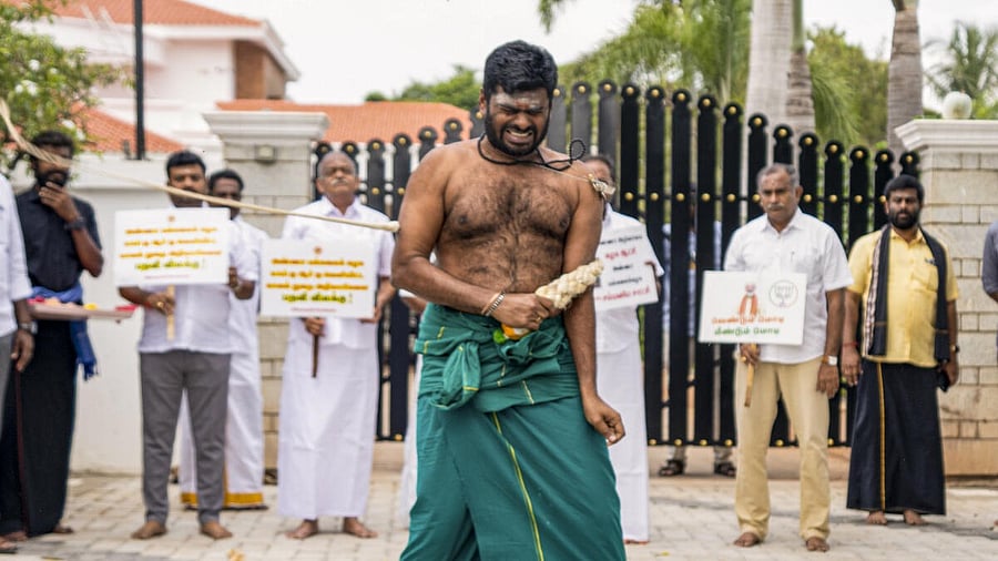 <div class="paragraphs"><p>K Annamalai flogs himself as he stages protest condemning the Tamil Nadu government, state police over the handling of the Chennai college student sexual assault case.</p></div>