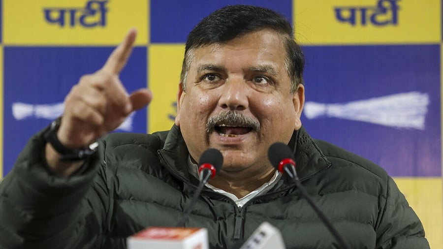 <div class="paragraphs"><p>AAP's Sanjay Singh.</p></div>