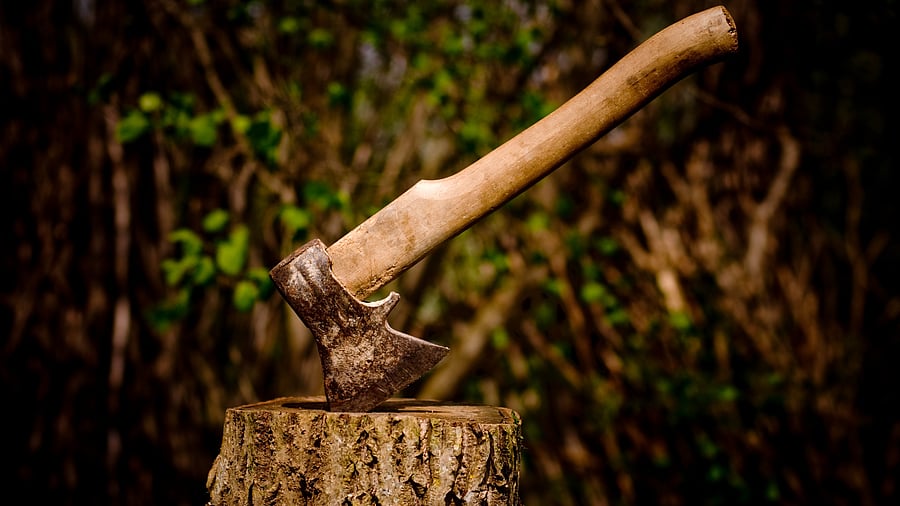 <div class="paragraphs"><p>Representative image showing an axe</p></div>