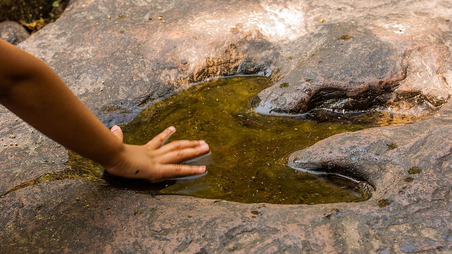 <div class="paragraphs"><p>Image showing a dinosaur footprint. For representational purposes.</p></div>