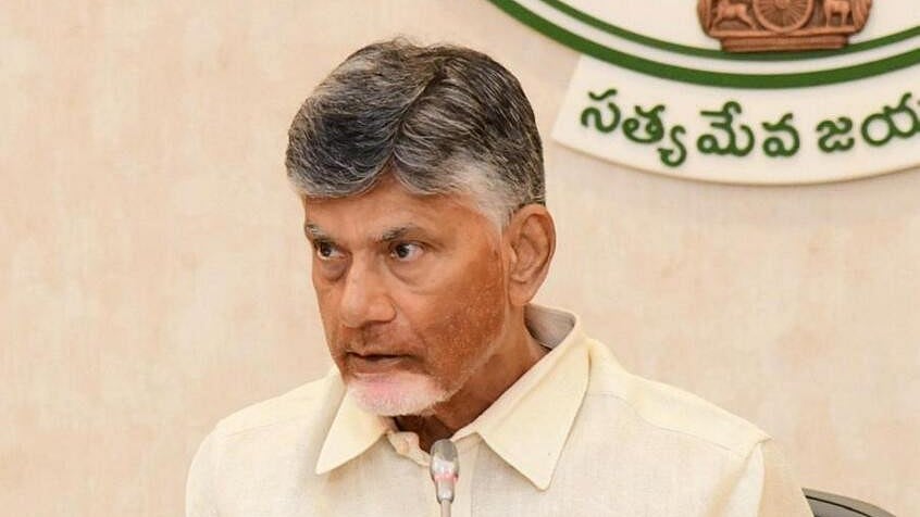 <div class="paragraphs"><p>Andhra Pradesh Chief Minister N. Chandrababu Naidu</p></div>