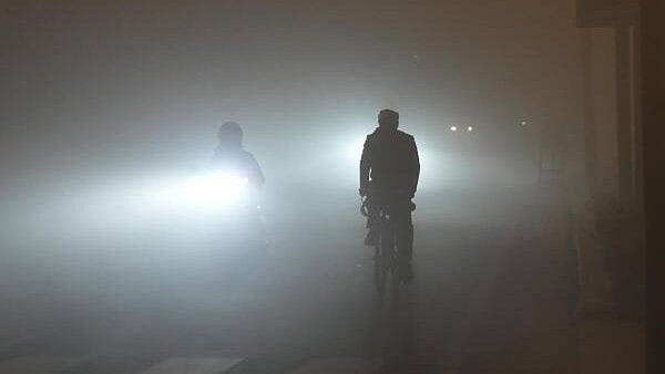 <div class="paragraphs"><p>A man pedals bicycle along the Kartavya Path amid dense fog, in New Delhi.</p></div>