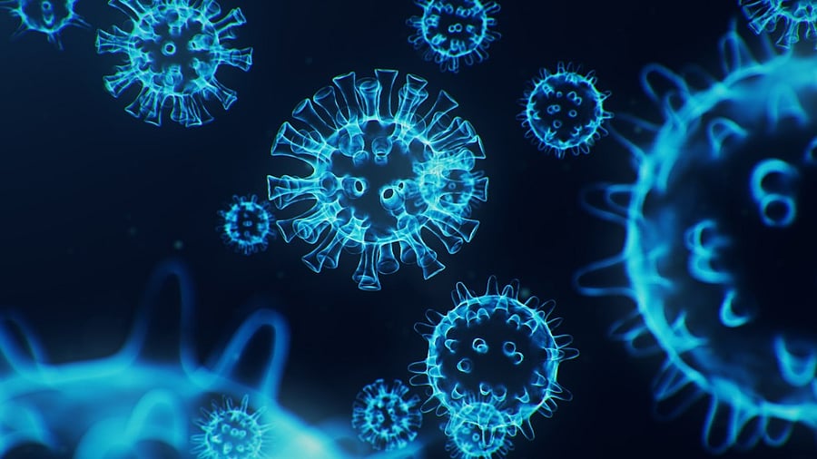 <div class="paragraphs"><p> Credit: iStock photo. </p></div>