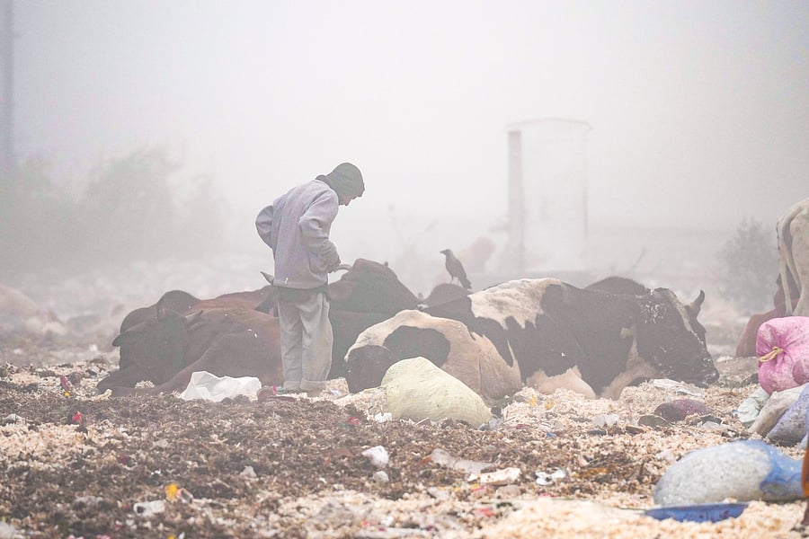 <div class="paragraphs"><p>A ragpicker collects recyclable items from the garbage in New Delhi. Representative image.</p></div>