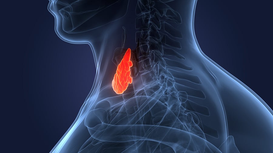 <div class="paragraphs"><p>Hypothyroidism, characterised by an under-active thyroid gland, can result in fatigue, weight gain, abnormal bone development and cognitive decline.</p></div>