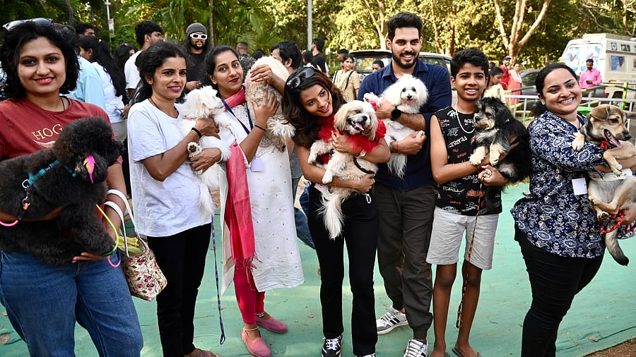 <div class="paragraphs"><p>Pet owners with their pets at the dog show, organised by the Zilla Panchayat and Department of Animal Husbandry and Veterinary Services, as a part of the ongoing Karavali Utsava at Kadri Park in Mangaluru on Sunday.</p></div>