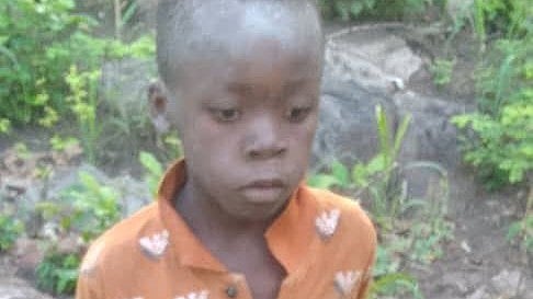 <div class="paragraphs"><p>7-year-old boy survives 5 days in lion-infested game park in Zimbabwe</p></div>