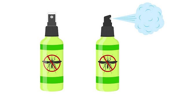 <div class="paragraphs"><p>Image for representation.</p></div>