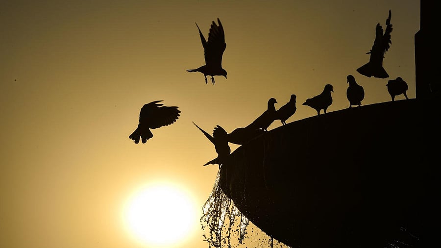 <div class="paragraphs"><p>Representational image only.</p><p><br></p></div>