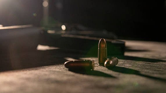 <div class="paragraphs"><p>Image for representation.</p></div>