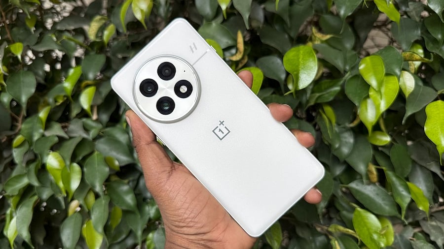 <div class="paragraphs"><p>OnePlus 13 Arctic Dawn colour.</p></div>