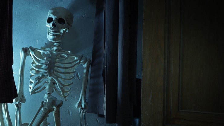 <div class="paragraphs"><p>Photo of a human skeleton. (Representative image)</p></div>