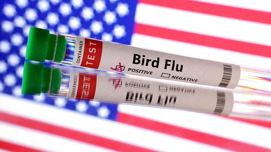 <div class="paragraphs"><p>Test tube is seen labelled 'Bird Flu' </p></div>