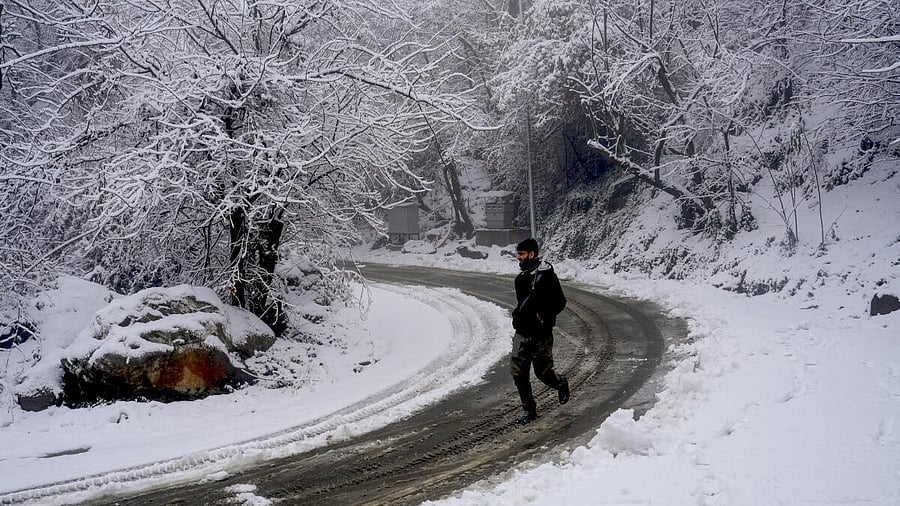 <div class="paragraphs"><p>A pedestrian walks on a road after fresh snowfall in Srinagar.</p></div>