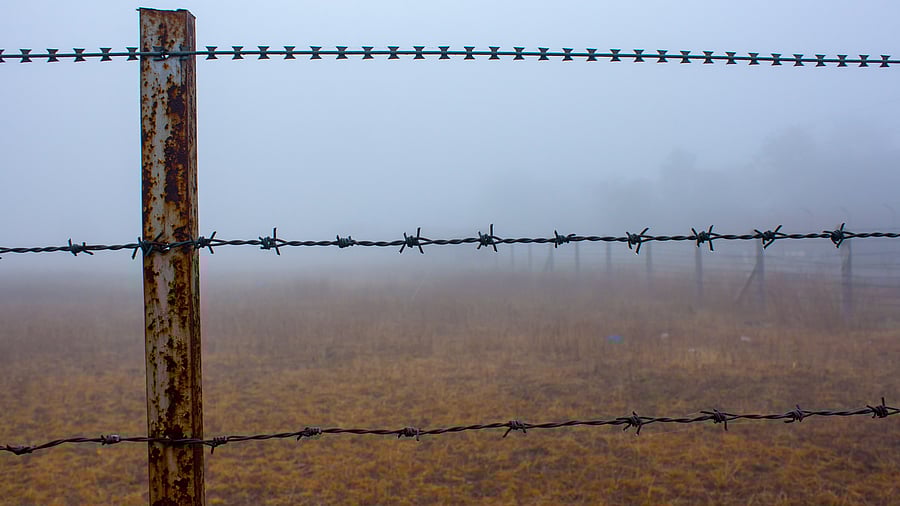 <div class="paragraphs"><p>Representative image showing a fenced border</p></div>
