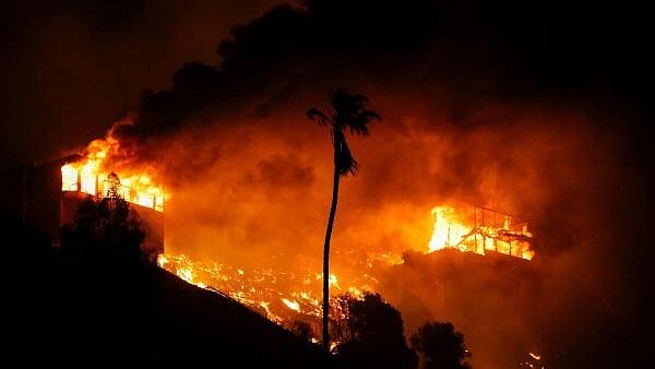 <div class="paragraphs"><p>The largest of the blazes, the Palisades fire, had consumed more than 1,000 structures, making it the most destructive in Los Angeles history.</p></div>