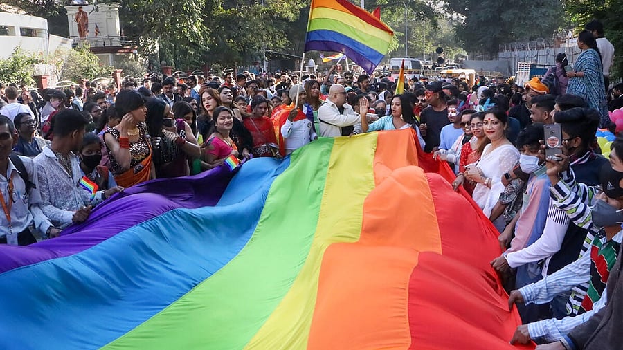<div class="paragraphs"><p>LGBTQ members take part in a pride parade in Nagpur.&nbsp;</p></div>
