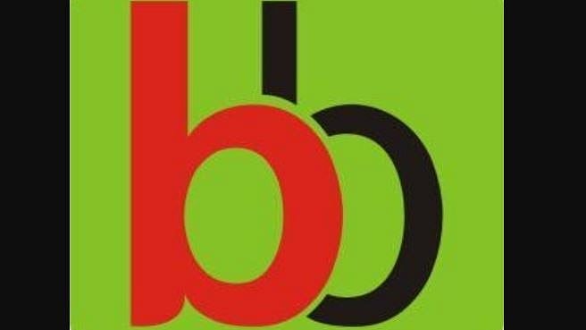 <div class="paragraphs"><p>Bigbasket logo</p></div>