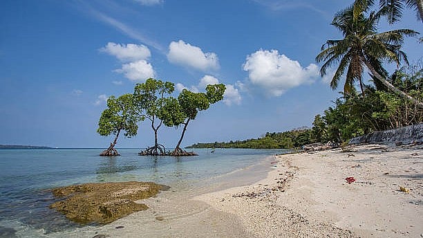 <div class="paragraphs"><p>Representative image of Andaman and Nicobar Islands.</p></div>