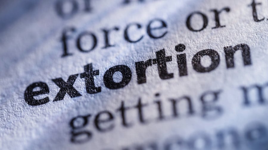 <div class="paragraphs"><p>Representative for image.</p></div>