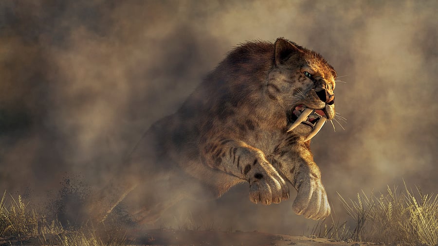 <div class="paragraphs"><p>Illustration showing a Smilodon. For representational purposes.</p></div>