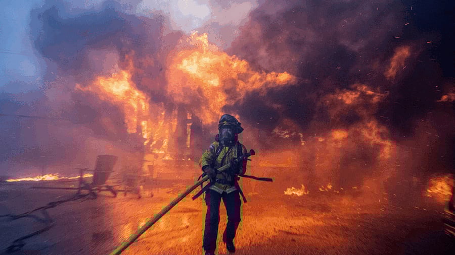 <div class="paragraphs"><p>Collage showing visuals from California, which has been ravaged by wildfires since the turn of the year.</p></div>