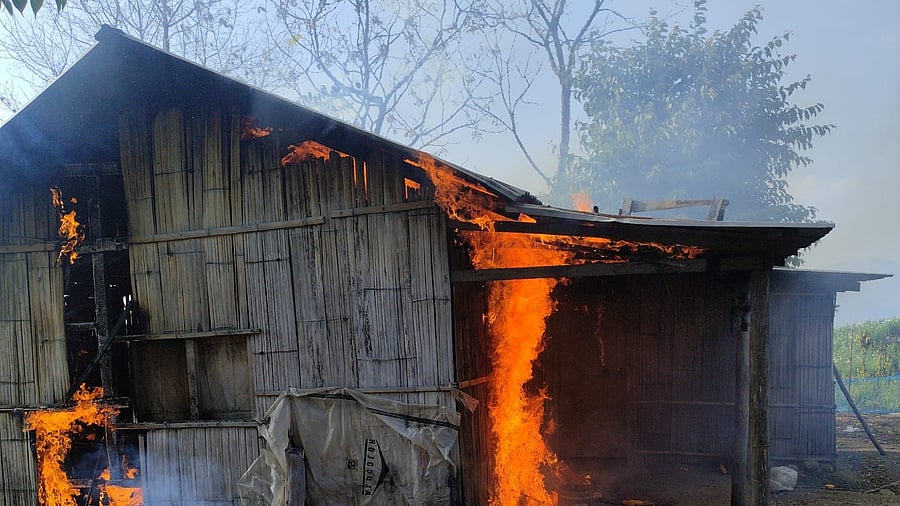 <div class="paragraphs"><p>Poppy plantation on 90 acres destroyed</p></div>