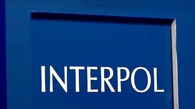 <div class="paragraphs"><p>The Interpol logo.</p></div>