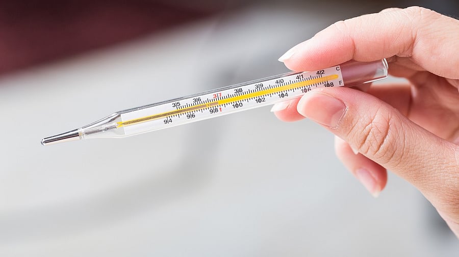 <div class="paragraphs"><p>Thermometer. Representative image</p></div>