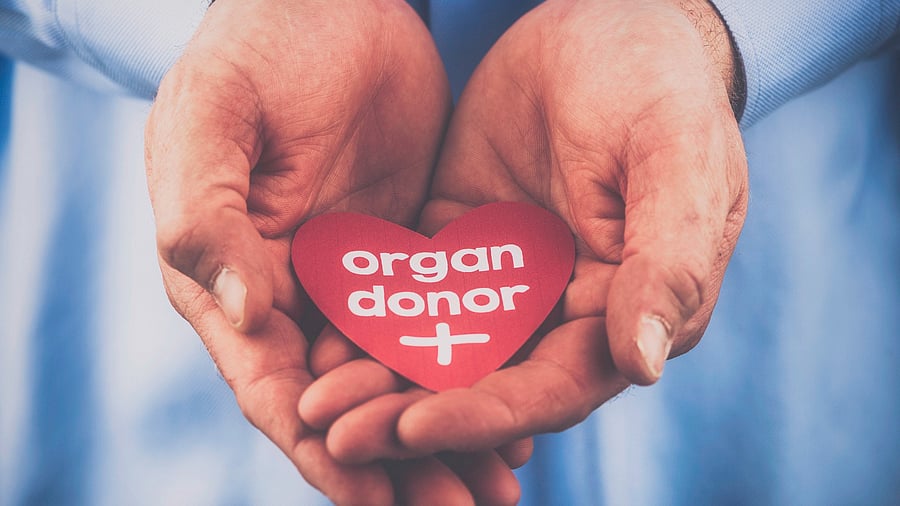 <div class="paragraphs"><p>Image for representation.</p></div>