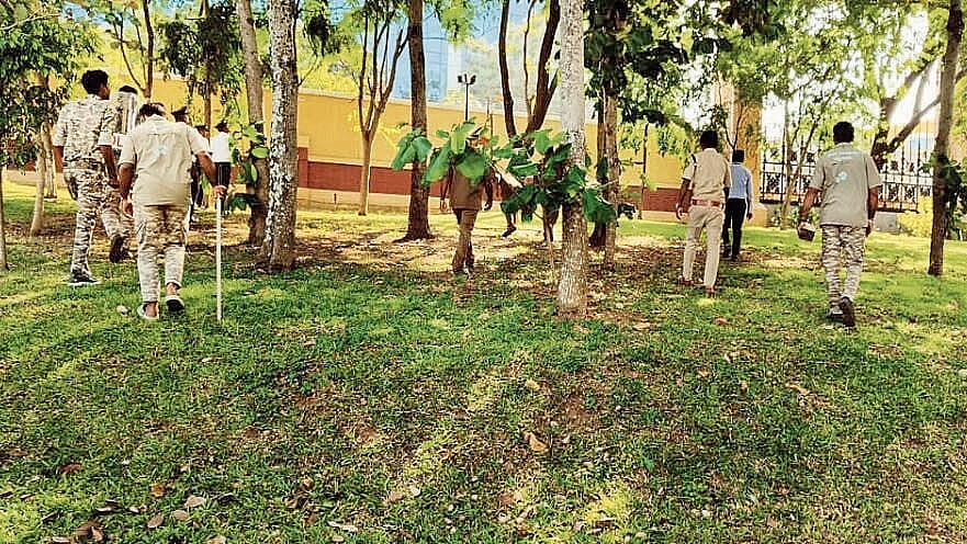 <div class="paragraphs"><p>The team of Forest department personnel, who have taken up leopard research and rescue operation, on the Infosys campus in Mysuru. </p></div>