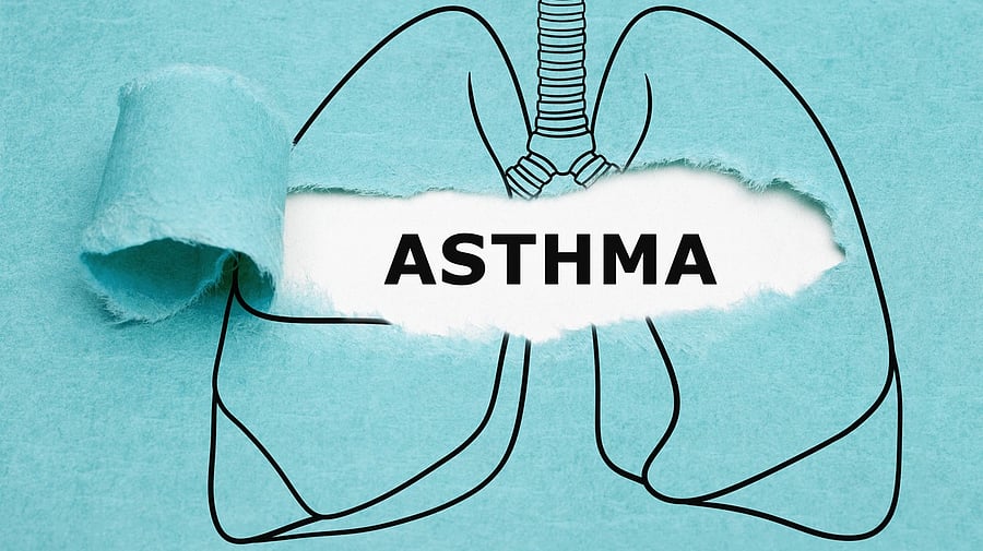 <div class="paragraphs"><p>Representative image showing the word 'asthma'.&nbsp;</p></div>