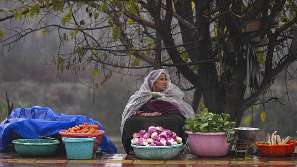<div class="paragraphs"><p> A roadside vegetable vendor covers herself with a plastic sheet during rainfall, in Srinagar.&nbsp;</p></div>