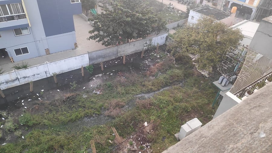 <div class="paragraphs"><p>Sewage-mixed water in the premises of Radiant Lake View Apartment in Medahalli. </p></div>
