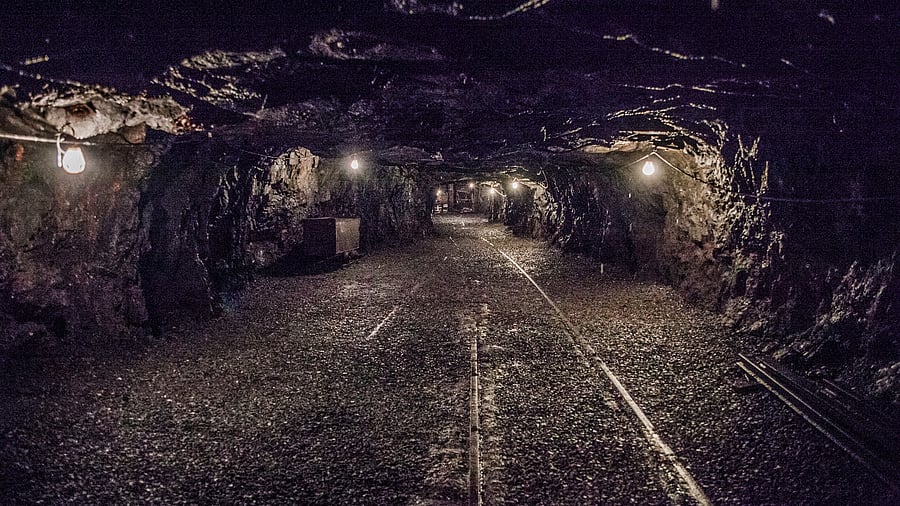 <div class="paragraphs"><p>Image for representation.</p></div>