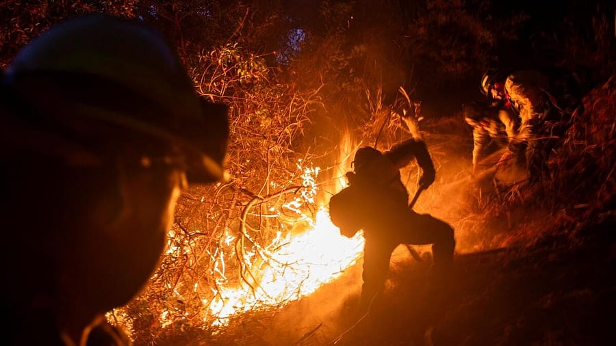 <div class="paragraphs"><p>Firefighters extinguish a fire as the Palisades Fire, one of several simultaneous blazes that have ripped across Los Angeles County, burns in Mandeville Canyon, a neighborhood of Los Angeles, California, U.S., January 12, 2025.</p></div>