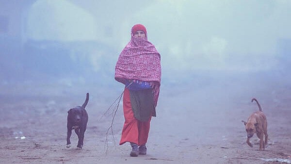 <div class="paragraphs"><p>A woman walks on a foggy winter morning, in New Delhi.</p></div>