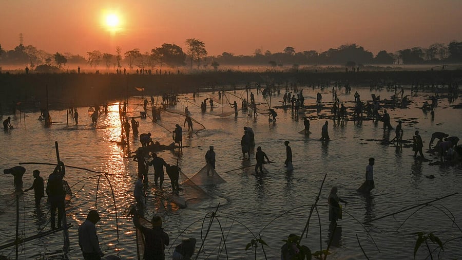 <div class="paragraphs"><p>Villagers take part in a community fishing event at a lake on the sidelines of Bhogali Bihu festival in Assam.</p></div>