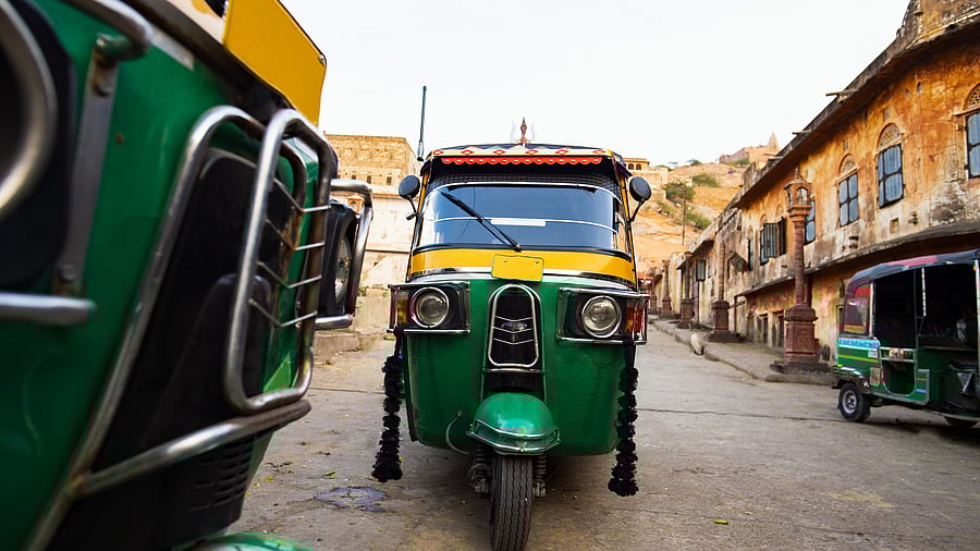 <div class="paragraphs"><p>Image for representation.</p></div>