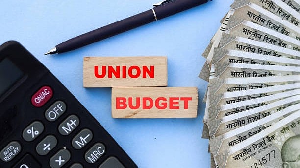 <div class="paragraphs"><p>Image for representation.</p></div>