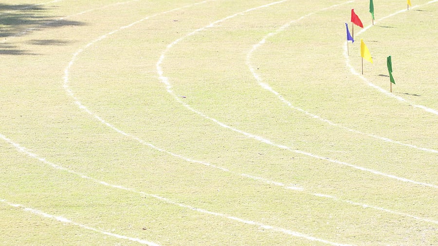 <div class="paragraphs"><p>Image for representation.</p></div>