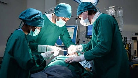 <div class="paragraphs"><p>Image for representation.</p></div>