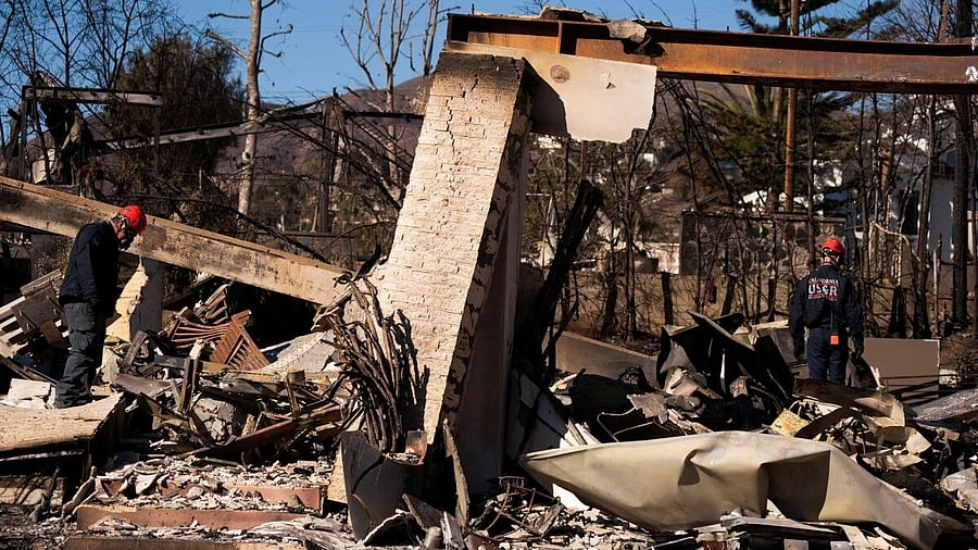 <div class="paragraphs"><p>Damage caused due to LA fire</p></div>