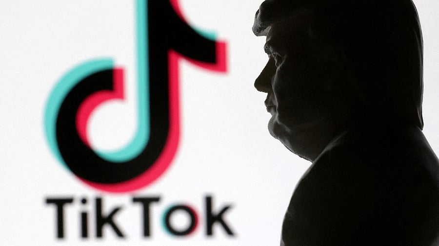 <div class="paragraphs"><p>Illustration showing the TikTok logo and US President-elect Donald Trump.</p></div>