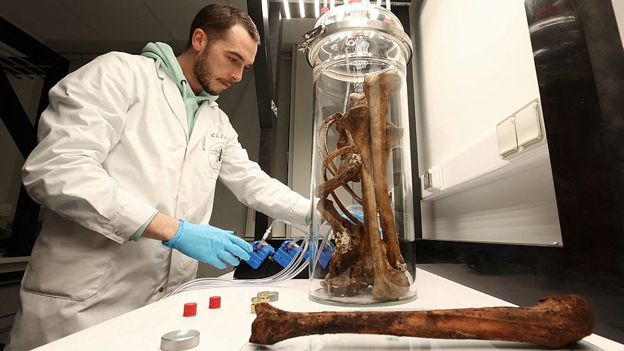 <div class="paragraphs"><p>Belgian research scientist Clement Martin, who works with Belgium's federal police to create a "perfume" that mimics the smell of dried human bones to help sniffer dogs find long lost remains, looks at human bones in his laboratory in Gembloux, Belgium.</p></div>