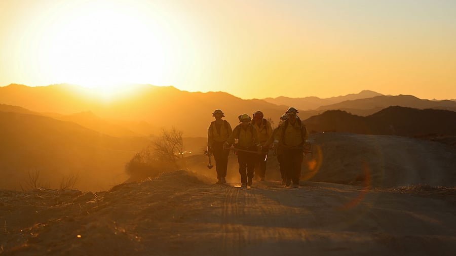 <div class="paragraphs"><p>Members of a CalFire crew work to mop up hotspots from the burn scar of the Palisades Fire near Mulholland Drive in Los Angeles, California, January 15, 2025. </p></div>