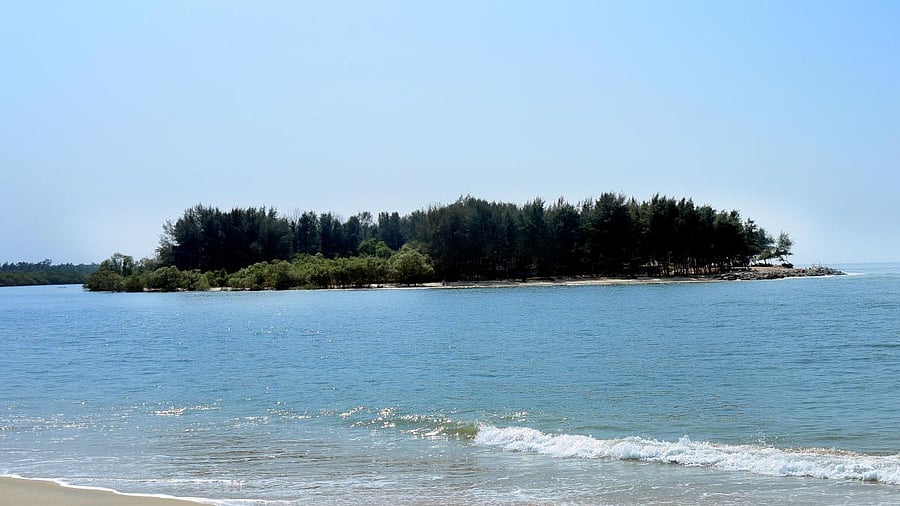 <div class="paragraphs"><p>A view of island of Sasihitlu beach near Mangaluru.</p></div>
