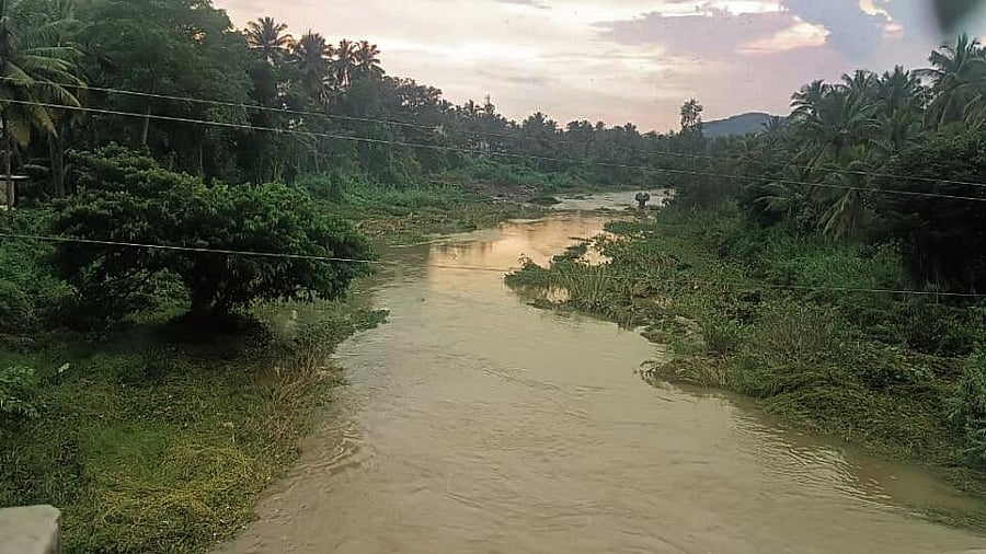 <div class="paragraphs"><p>The Arkavathy river is among the most vulnerable waterbodies in the state, with studies indicating that industrial effluents and domestic wastewater have already contaminated the waterbody. </p></div>