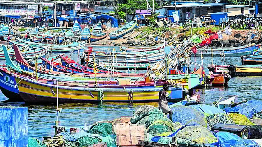 <div class="paragraphs"><p>Fishing boats anchored at a beach near Thiruvananthapuram after the IMD issued a cyclone alert.  </p></div>